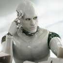 아나파동물병원 이미지