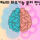 세화몬테소리유치원 이미지