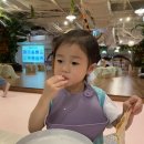 문구야놀자청라 | 키즈카페에 실내동물원이? 인천 청라 쥬라리움