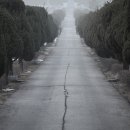 아름다운동행 이미지