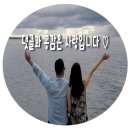 패빌리티