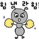 이앤씨케이