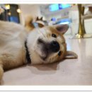 아이조아요양보호소 전남광주점 이미지