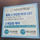 눈이부시게카워시 이미지