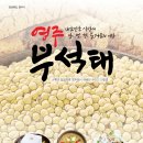 부석태콩