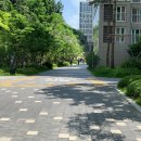 산책길-1 이미지