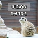 남문주차장입구~하나은행 | 울산대공원 동물원 남문 주차장 꿀팁｜데이트 코스 추천