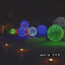 비발디사계 이미지