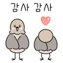 1디테일링샵 이미지