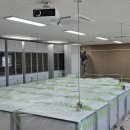 돌마고등학교 이미지