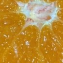 인건농장 이미지