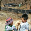 월문초등학교(병설) 이미지