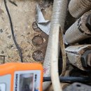 상모리-2 이미지