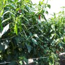 내서읍719 이미지