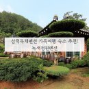 펜션정원 | 삼척독채펜션 가족여행 숙소 추천! 녹색정원펜션 후기🏠🌿