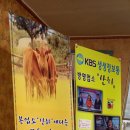 호수한우 이미지