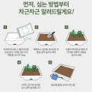 에코 플랜테리어 수경재배 | 플라팜 저면관수 화분 베란다 텃밭 세트 흙 모종 포함 자동급수 수경재배 상추 키우기