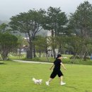 최범수 | #팔십한번째일상