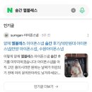 짝궁 | [양재 엘블레스 아이폰스냅] 가성비 아이폰스냅 숨간 계약후기 | 짝궁코드