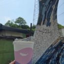 울산 장생포 고래문화마을 수국 축제 개화 입장료 주차 수국사랑상품권