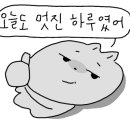 평창다솜방식당 이미지