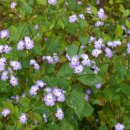 금메달체육관 이미지