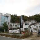 선갤러리 티스토리