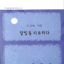 20260528 도상태 시인 ＜달빛을 사유하다＞ 이미지