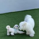 뭉티의 하루 네이버블로그
