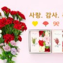 가정 이미지