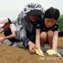 완주땅콩