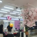 자매유통 | 휴대폰 매장 추천 '여기다 휴대폰 태화점' 합리적인 아이폰 교체 및 통신 요금 점검하고 온 자매 방문 후기