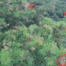 충훈터널 입구 이미지