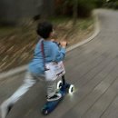 경희대 활기찬 태권도장 이미지