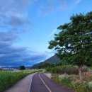 세천강변 이미지