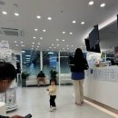 운정24시동물의료센터 이미지