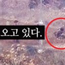 dmz사고는 이죄명이 저지른일 이미지