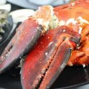 백호상회 이미지