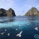 신시가지 이미지