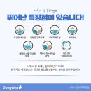 브라운포레