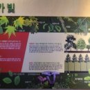 경상남도수목원전망대 이미지