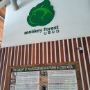 몽키세탁소 이미지