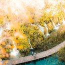 하나스토리 호스텔 이미지