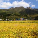 제천관광(주) 이미지