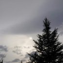 틀니쟁이 이미지