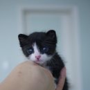 쌀집아저씨 이미지