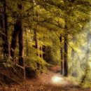 한국폴리텍 III 대학 강릉캠퍼스 이미지