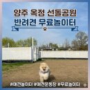 양주우체국 | 옥정 선돌공원 반려견 무료놀이터 양주 강아지 산책하기 좋은곳 24시 가능