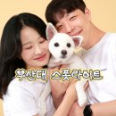 수로왕릉역 1번출구(부산방향) | 부산 장전동 부산대 사진관 반려동물 강아지 가족사진 촬영 스튜디오 스폿라이트 후기