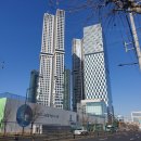 포레스트 이미지